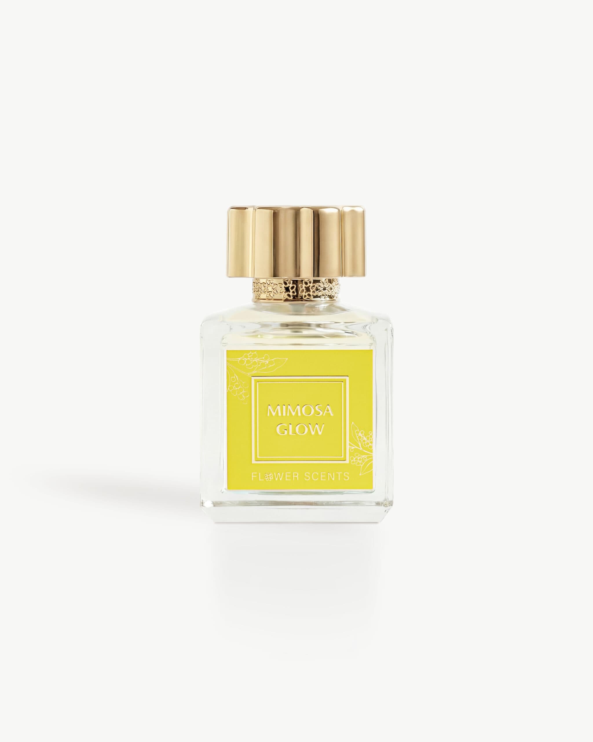 MIMOSA GLOW | Fragrance Network