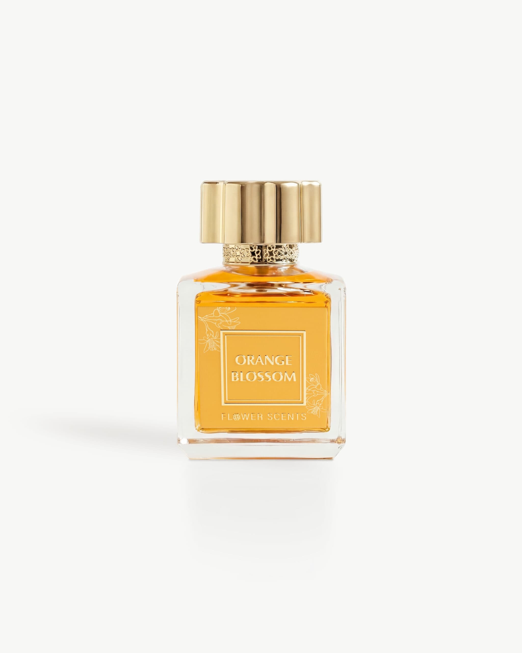 ORANGE BLOSSOM | Fragrance Network
