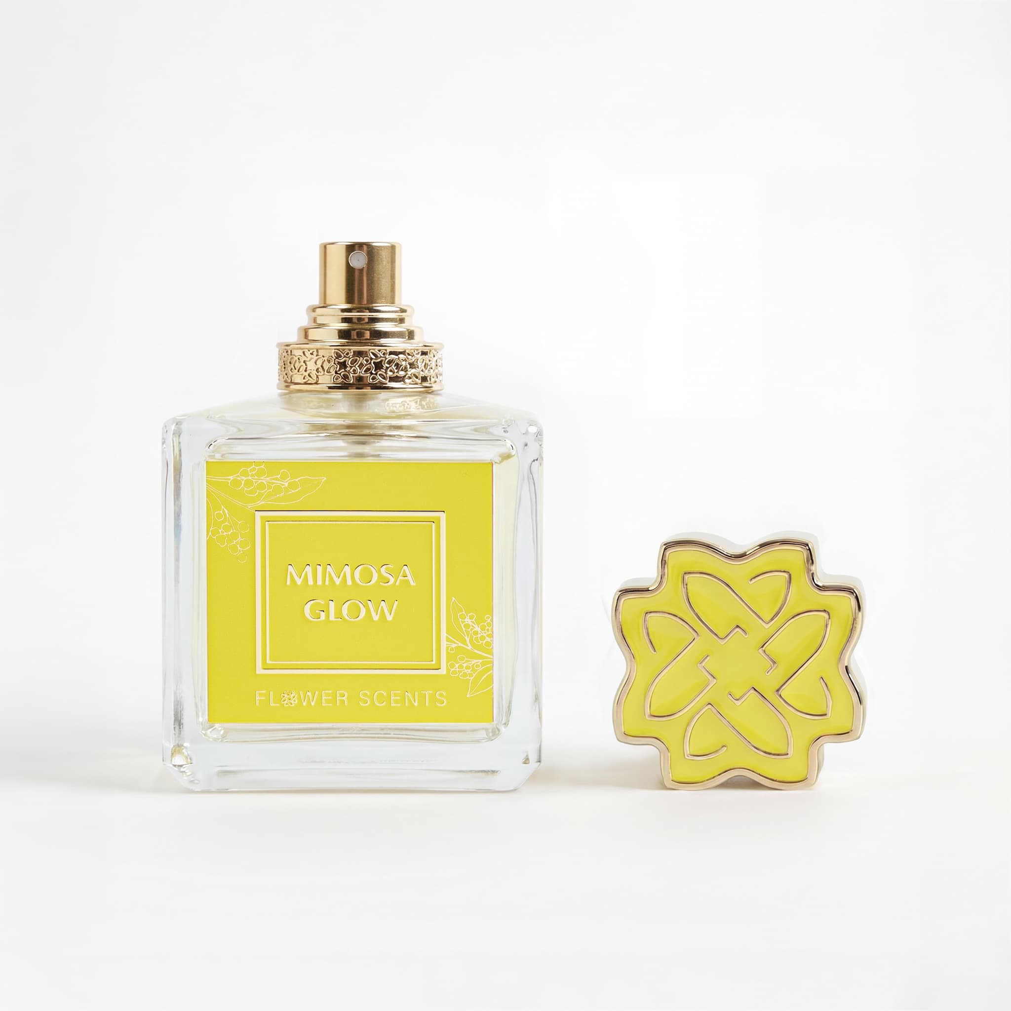 MIMOSA GLOW | Fragrance Network