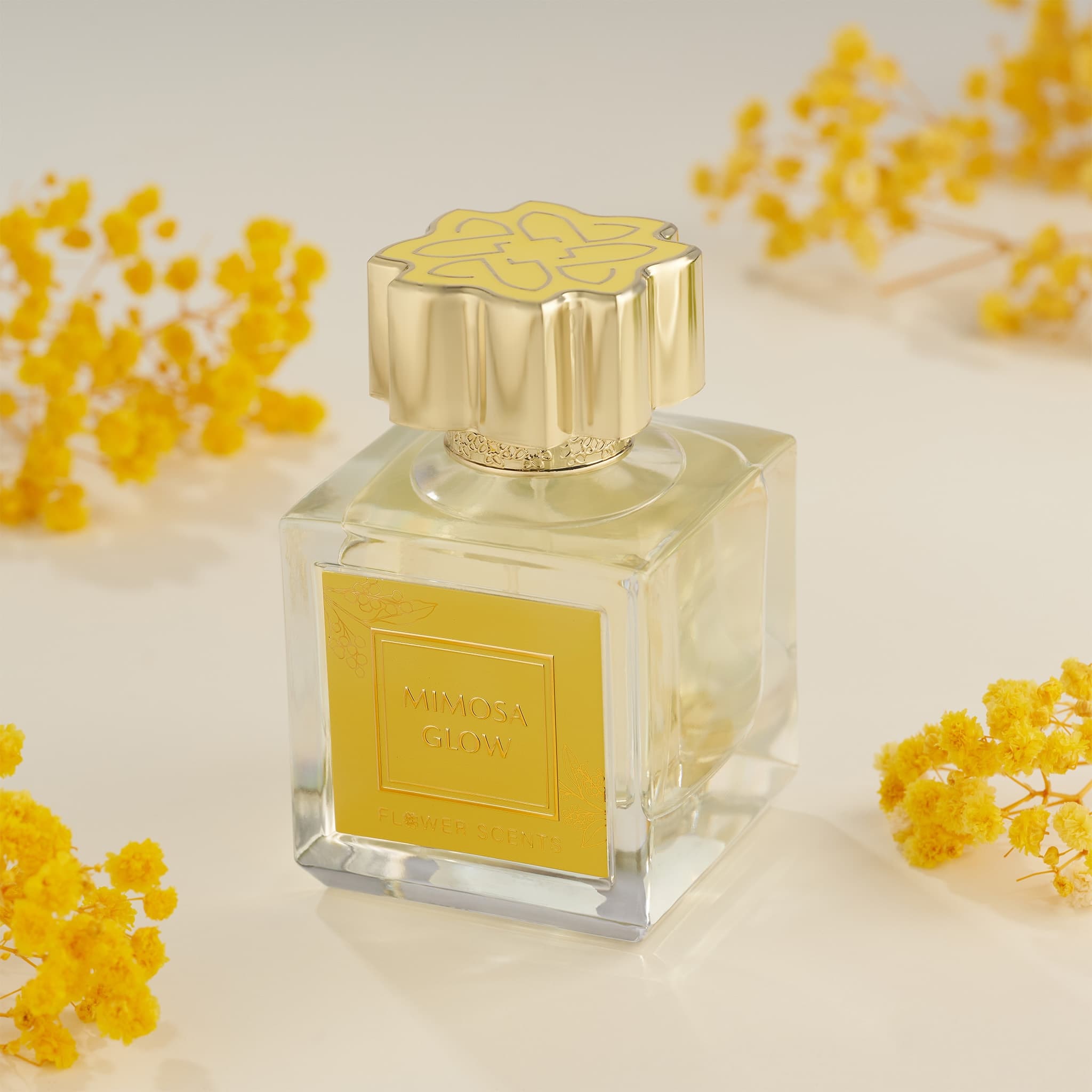 MIMOSA GLOW | Fragrance Network