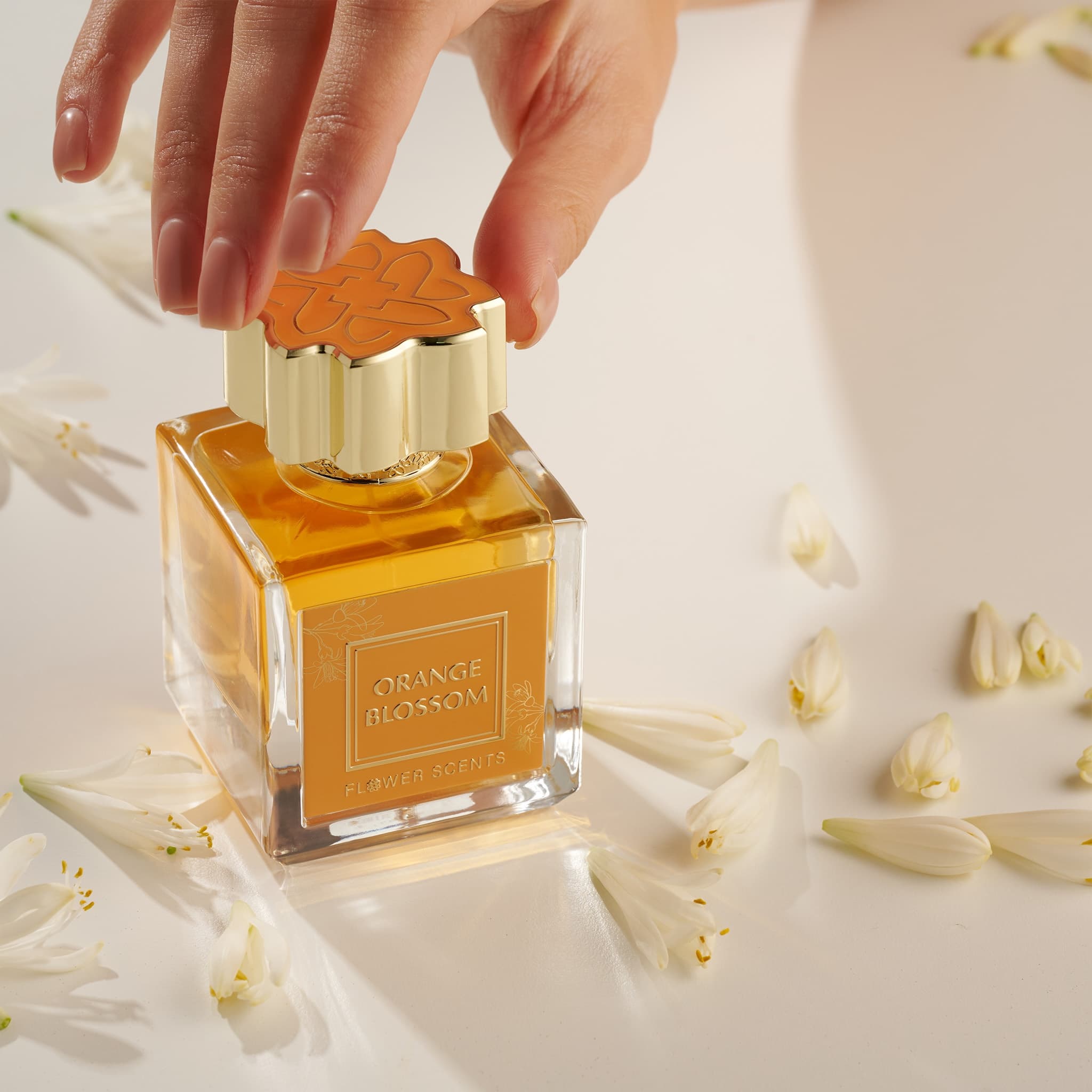 ORANGE BLOSSOM | Fragrance Network